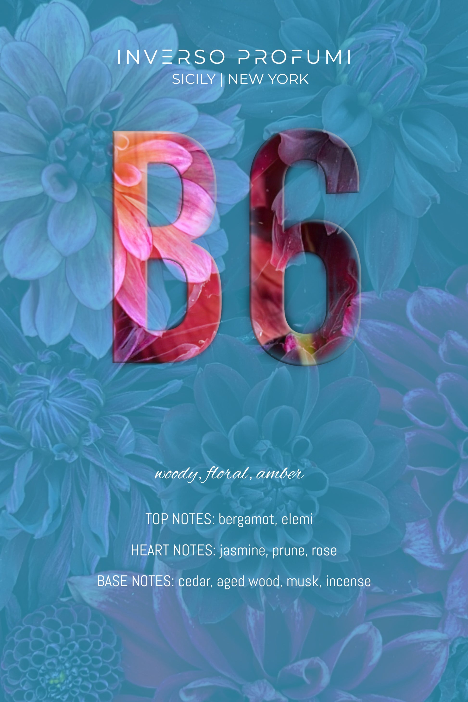 B6 - aqueous.