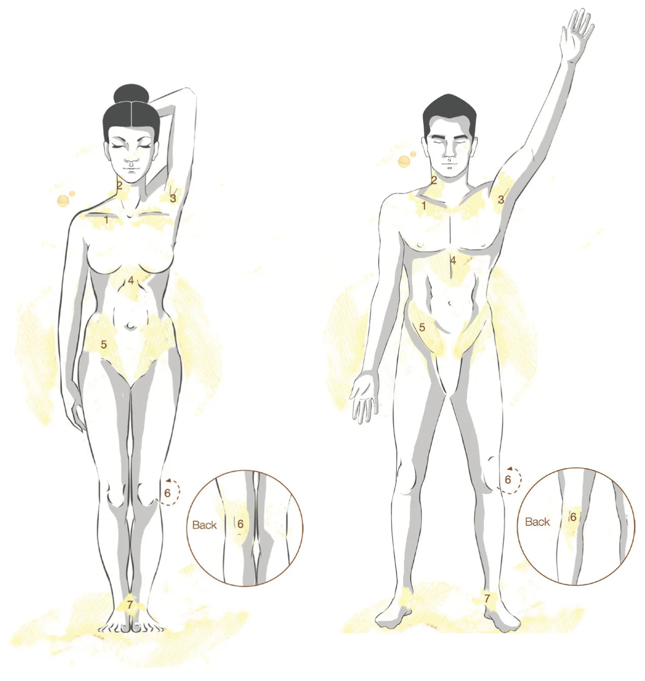 plasma + micellar oil - aqueous.