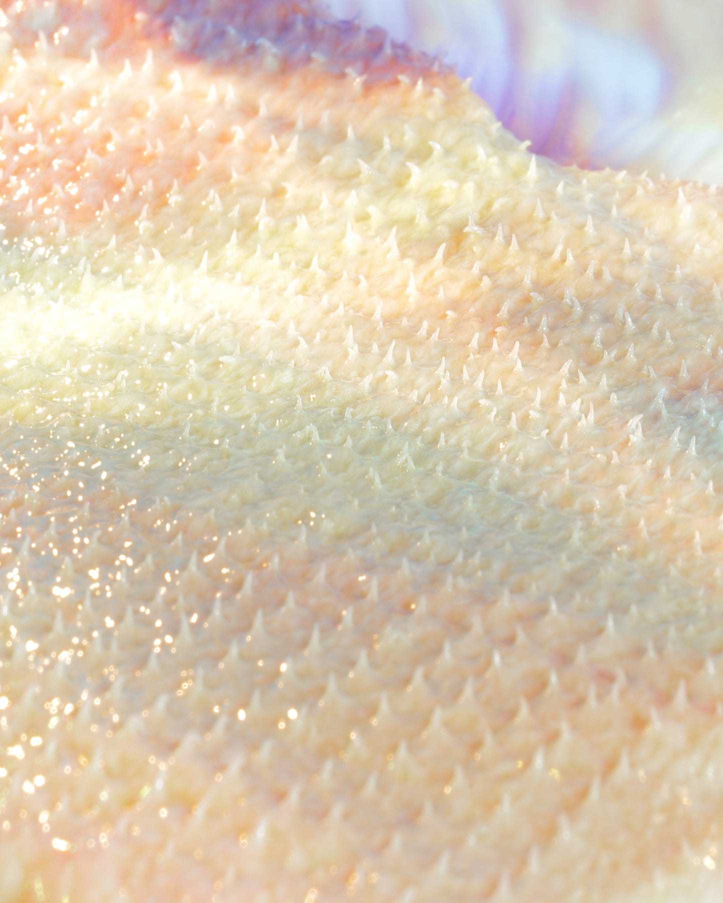 need-le - aqueous.