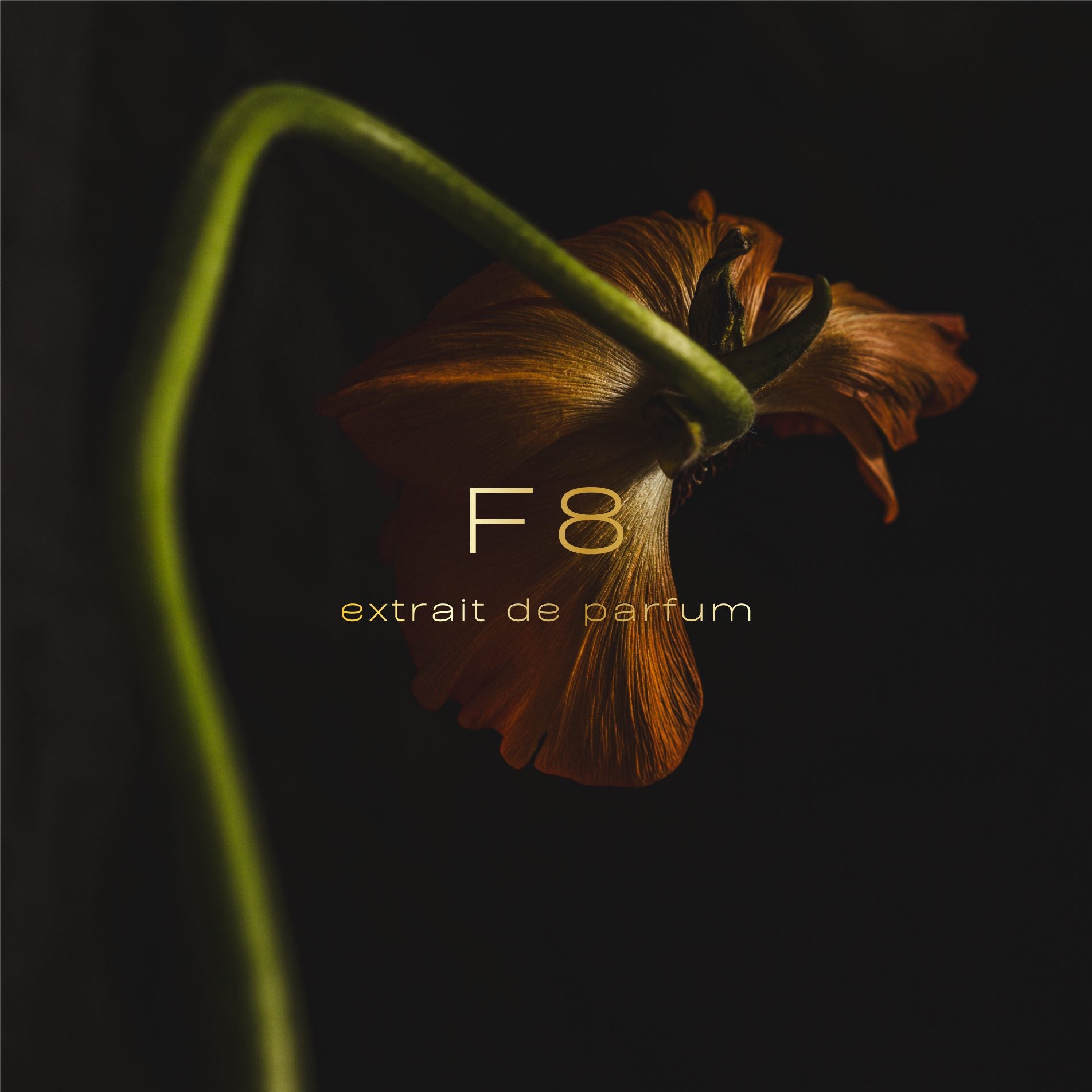 F8 - aqueous.